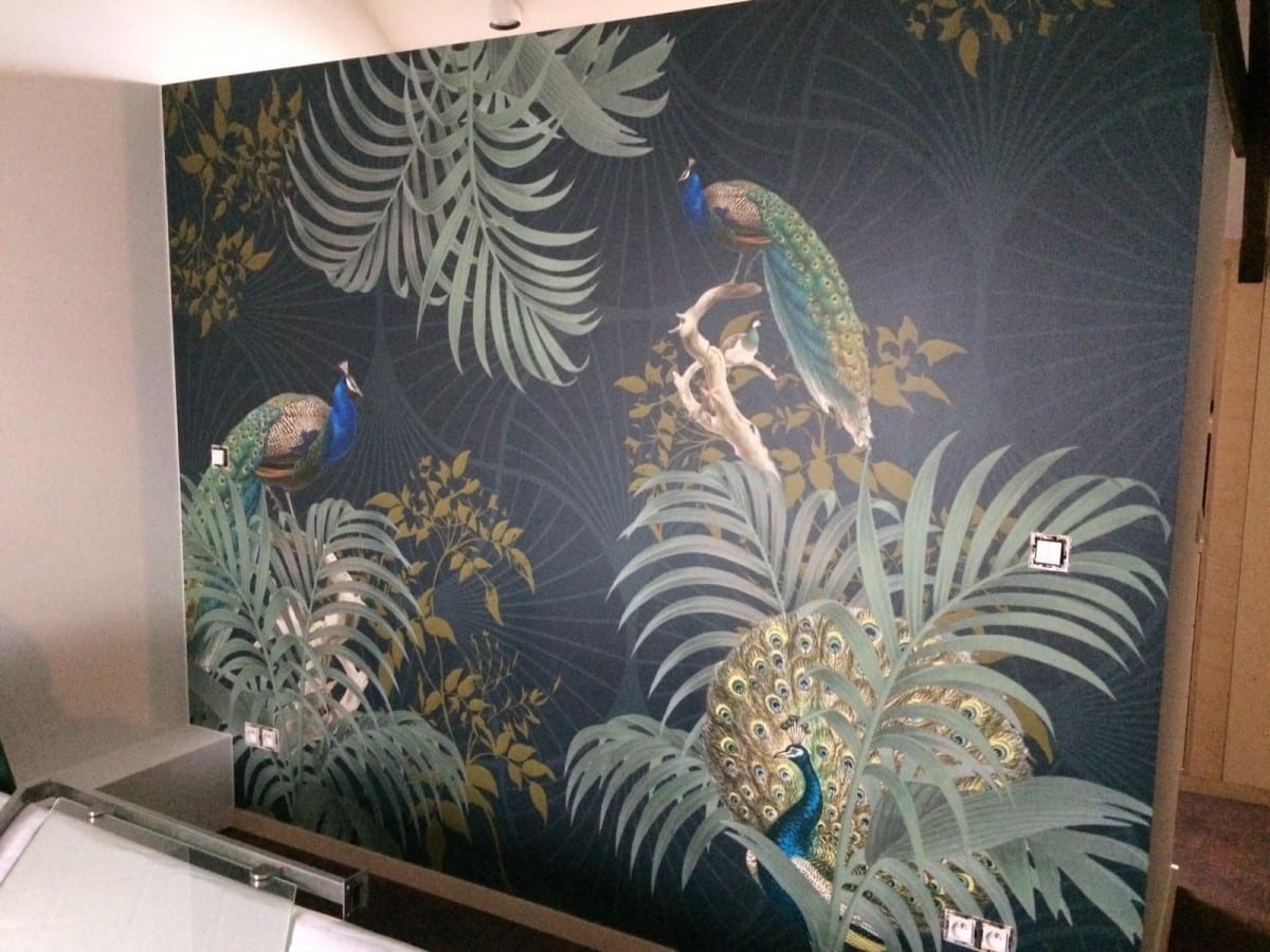 Muurbehang door In't Kleur van pauwen op een donkergroene achtergrond in Mariakerke