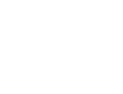 Realisatie icoon in wit